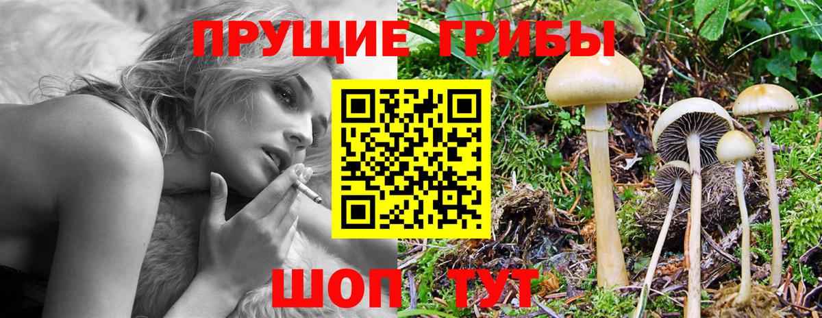 Псилоцибиновые грибы Psilocybe  Псилоцибиновые грибы Psilocybine cubensis  Вход с VPN  Донецк 