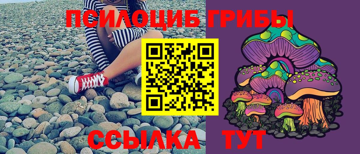 Псилоцибиновые грибы Psilocybe Донецк